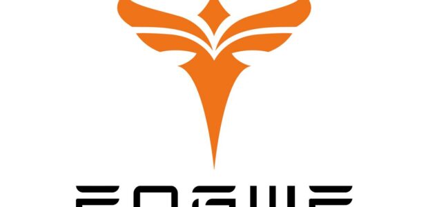 Engwe logo - engwe discount code
