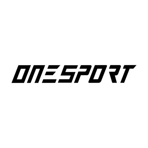 logo onesportebike